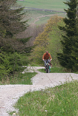 Gisburn Forest